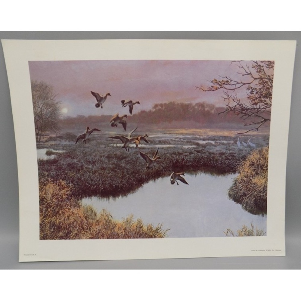 Vintage Tom Beecham Ducks Landing Wildlife Art Print 11"x14" w/ 1 Inch Border